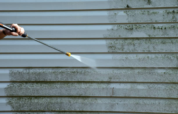 Best Patio and Deck Pressure Washing  in Alba, NY